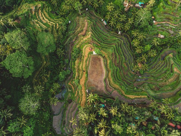 Où participer à des ateliers de fabrication de bijoux en argent à Bali : écoles et artisans recommandés ?